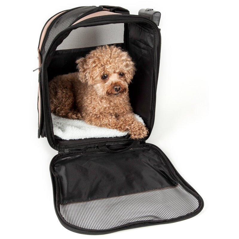 Tucker Murphy Pet™ Horan Airline Approved Wheeled Travel Pet Carrier & Reviews Wayfair